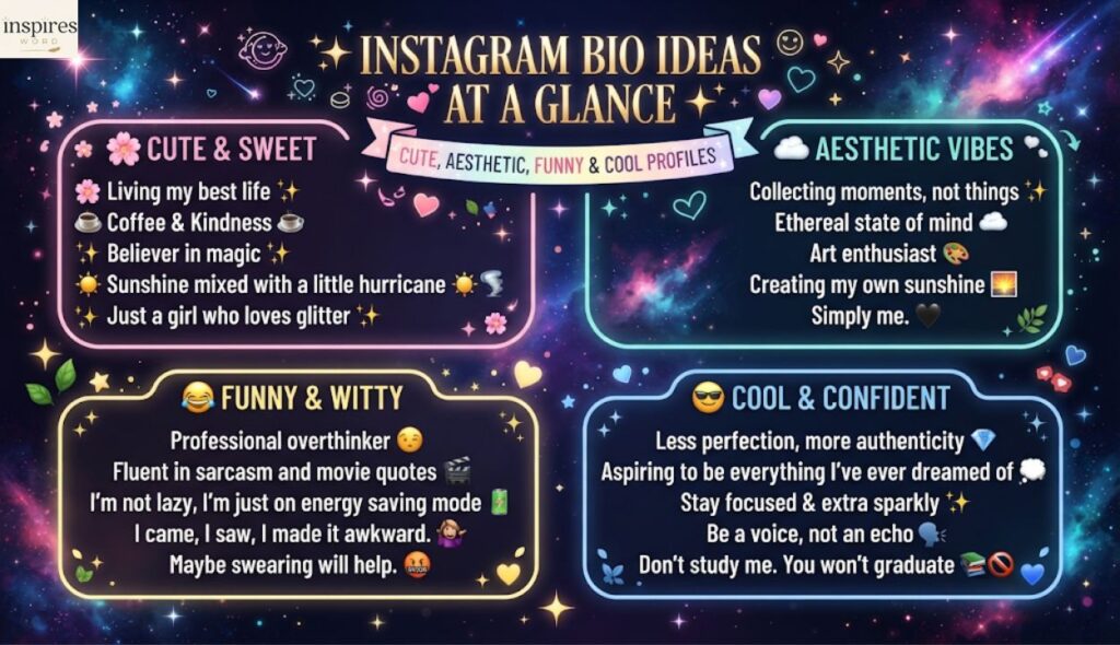 ✨ Instagram Bio Ideas at a Glance